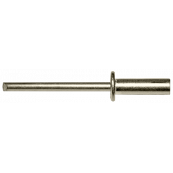 Blindklinknagel waterdicht * 4,00x6 A2-A2   (500st)