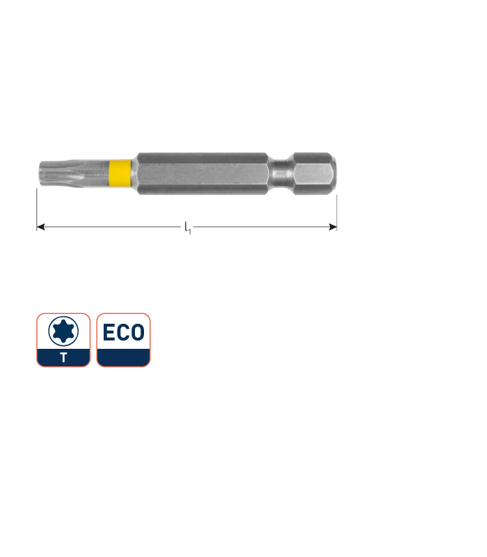 1/4 insertbit 2 Torx T40 L- 50 mm VPE 10 stuks...