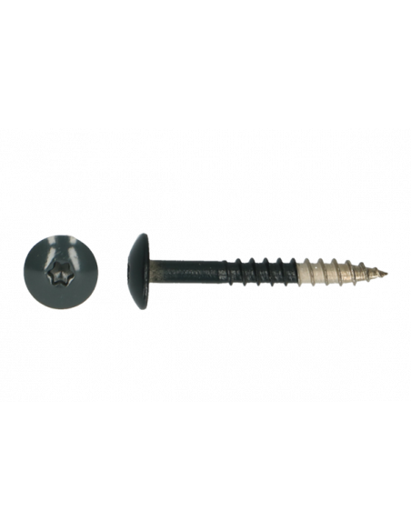 Platbolkopschrf Trespa * 4,8x 32x7016 A2 indruk T20 - RAL (7016)  (100st)