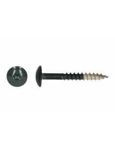 Platbolkopschrf Trespa * 4,8x 38x6011 A2 indruk T20 - RAL...