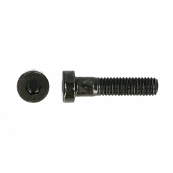 Lage bzk.schroef 8.8 Din 7984 M  5x25   (500st)